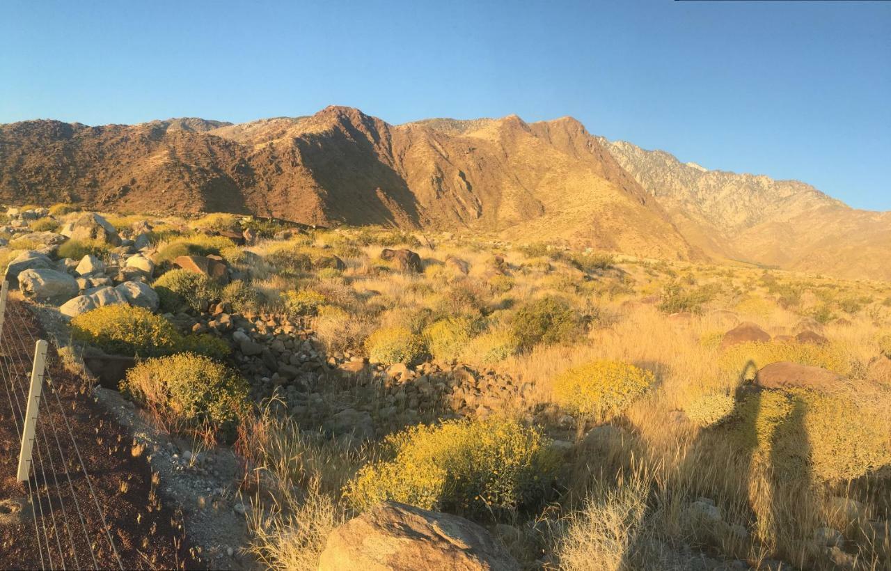 Inn At بالم سبرينغس المظهر الخارجي الصورة
